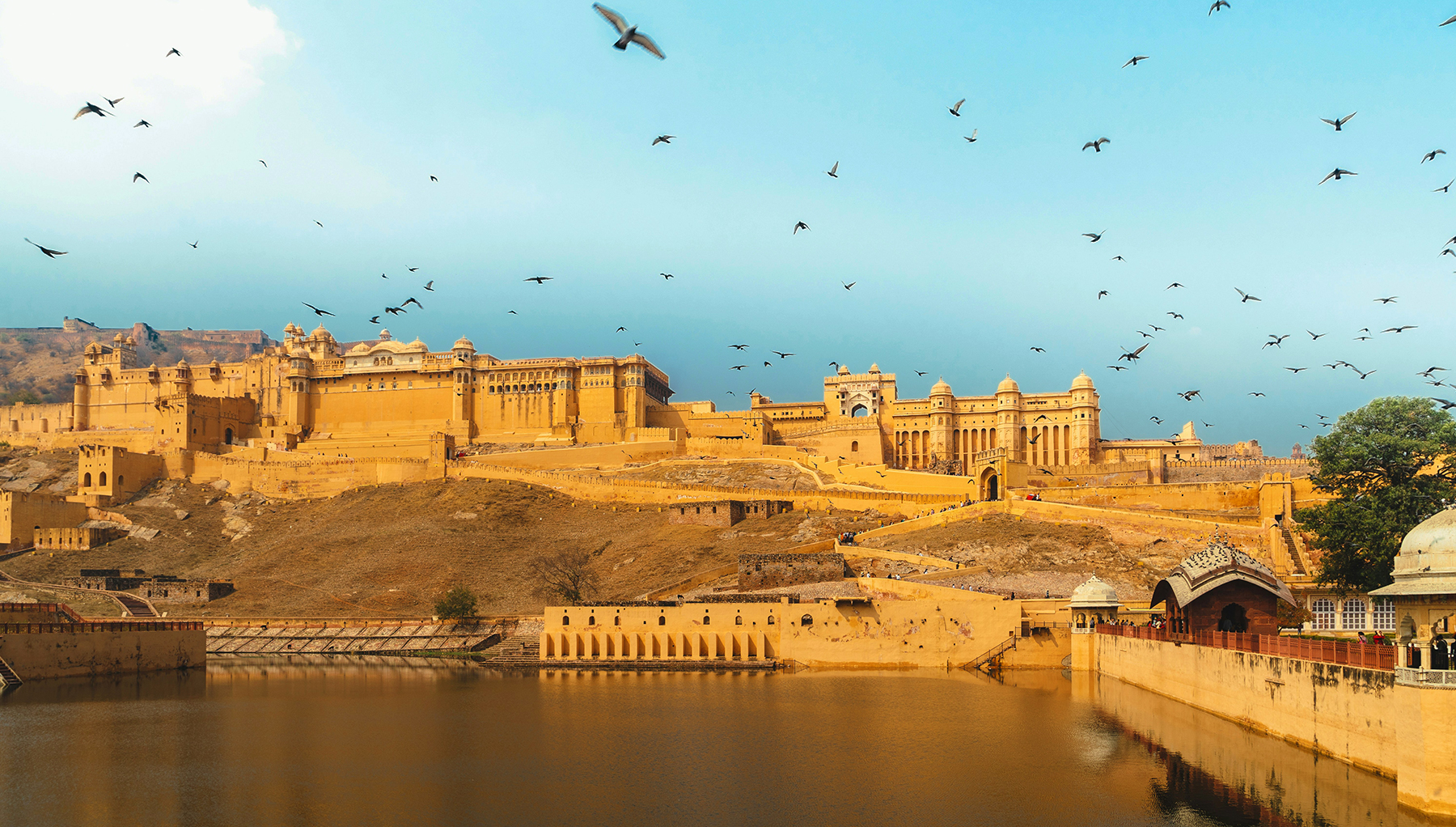 Amer Fort, Jaipur